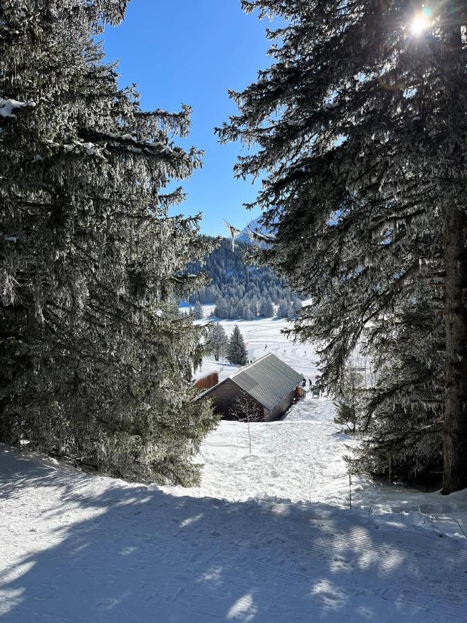 Chamrousse Appart 8 Personnes Au Pied Des Pistes Eksteriør bilde