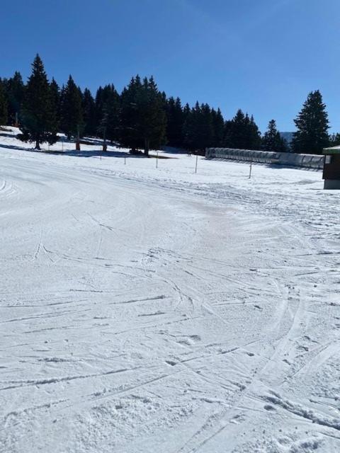 Chamrousse Appart 8 Personnes Au Pied Des Pistes Eksteriør bilde