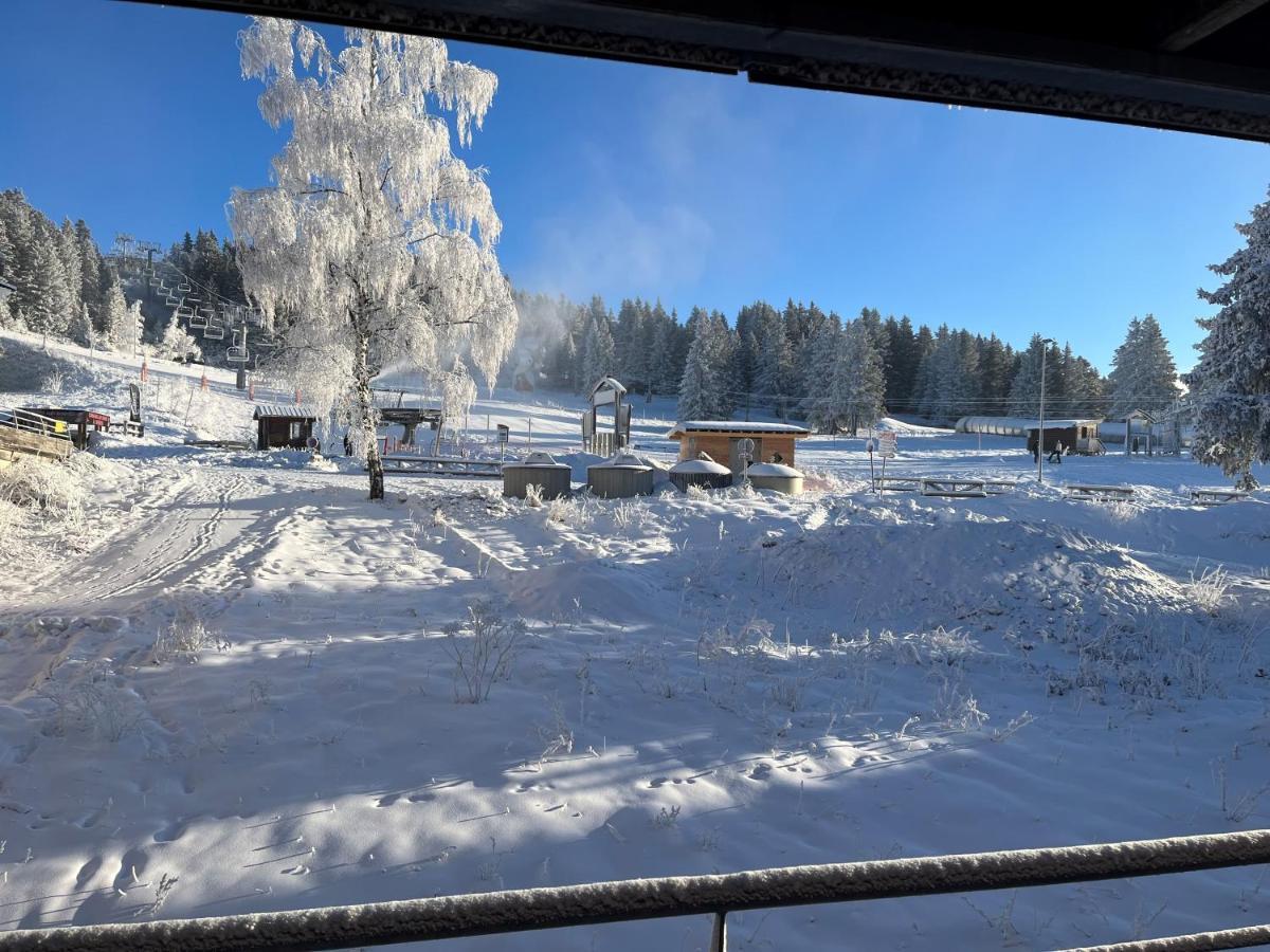 Chamrousse Appart 8 Personnes Au Pied Des Pistes Eksteriør bilde